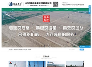 山東恒鼎地基基礎(chǔ)工程有限公司