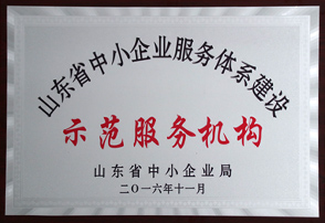 山東省中小企業服務體系建設示范服務機構